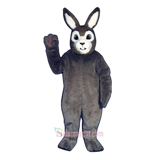 Jack Rabbit Mascot Costume