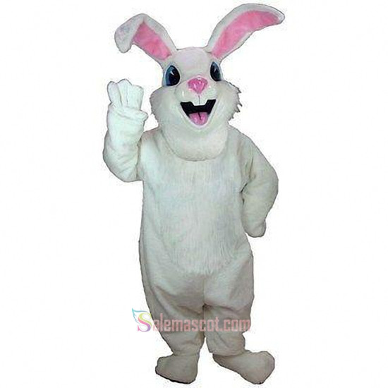 Jack Rabbit Mascot Costume