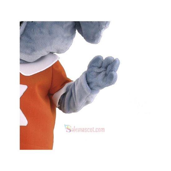 Happy Koala Mascot Costume