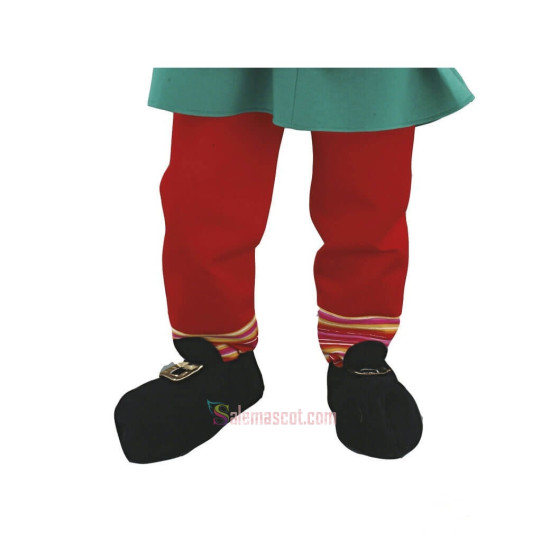 Leprechaun Mascot Costume