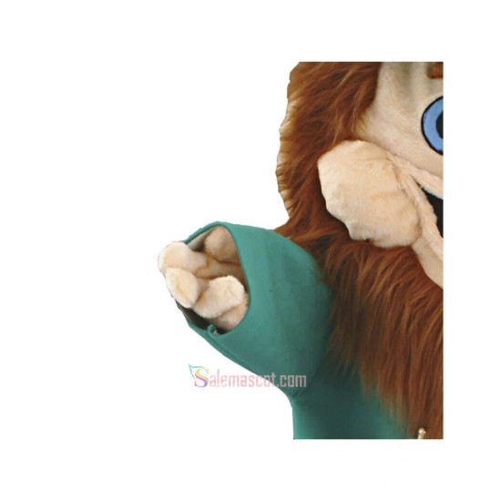 Leprechaun Mascot Costume