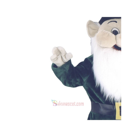 Leprechaun Mascot Costume High Quality