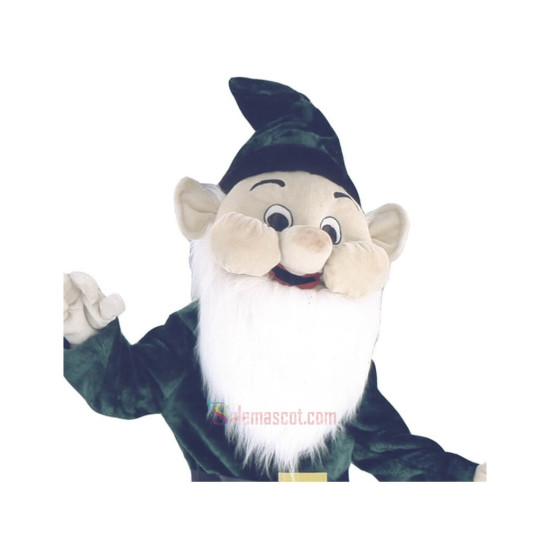 Leprechaun Mascot Costume High Quality