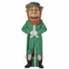Leprechaun Mascot Costume