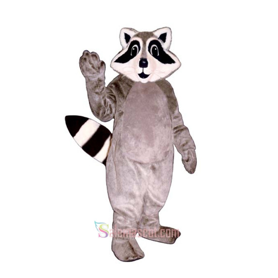 Little Raccoon Mascot Costume