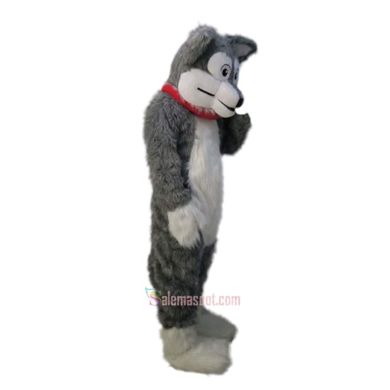 Long-Haired Grey Husky Wolf Mascot Costume