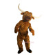 Longhorn Cattle Ankole-Watusi Mascot Costume