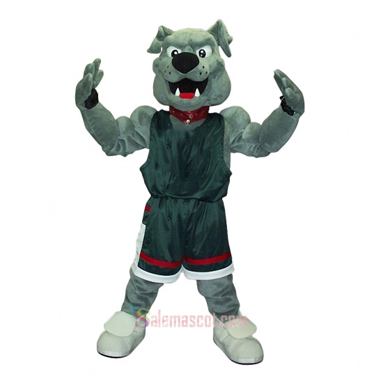 Lucky Dog Mascot Costume
