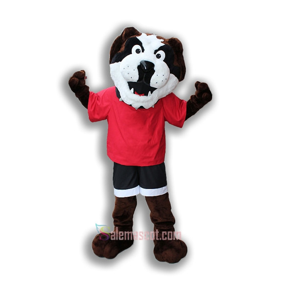 Maryville Dog Mascot Costume