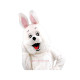 Mascot Costume Happy White Rabbit