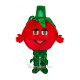 Tomato Mascot Costume