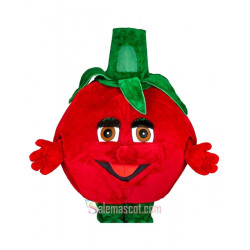 Tomato Mascot Costume