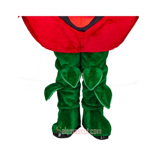 Tomato Mascot Costume