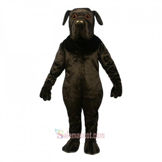 Newfoundland Mascot Costume