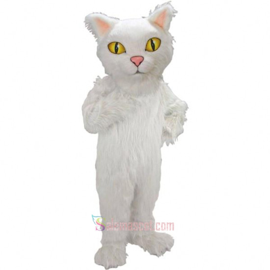Persian Cat Mascot