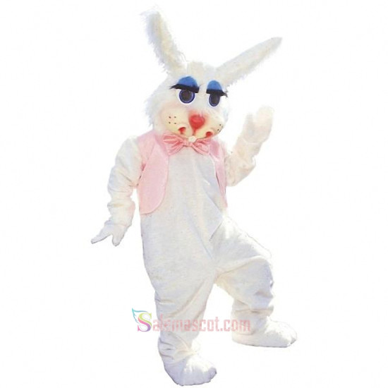 Peter Rabbit Mascot Costume