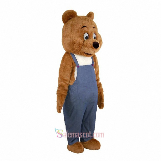 Plush Bear Custom made Mascot Costume