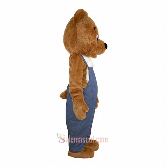 Plush Bear Custom made Mascot Costume