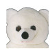 Short Hairs Polar Bear Mascot Costume