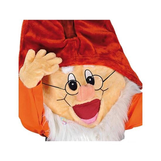 Prof 7 Dwarfs Mascot Costume