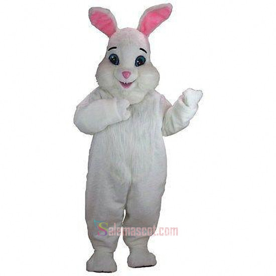Rabbit Mascot Costume