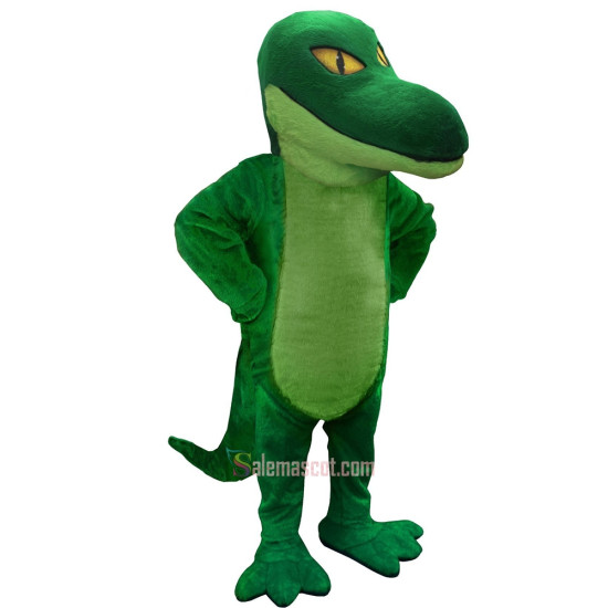 Raptor Mascot Costume