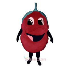 Raspberry (Bodysuit not included) Mascot Costume