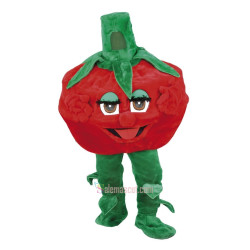 Lovely Raspberry Mascot Costume