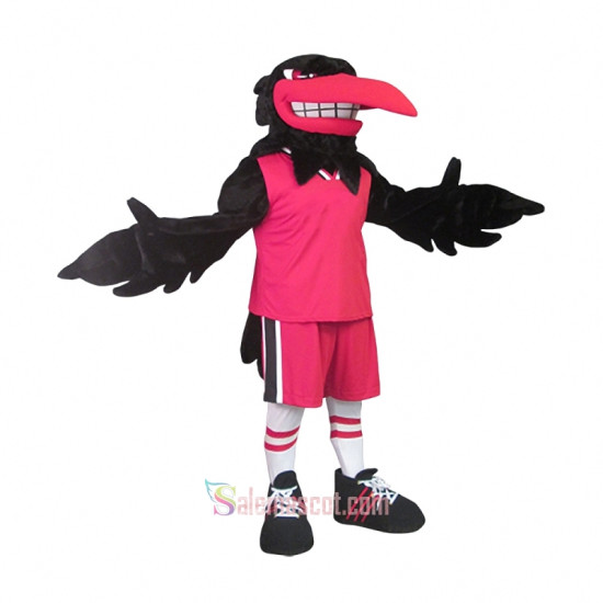 Raven Mascot Costume
