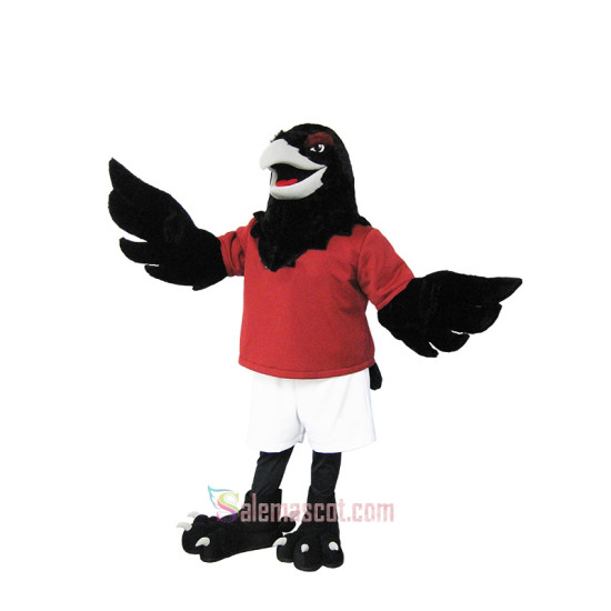 Raven Mascot Costume