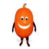 Rotten Pumpkin (Bodysuit not included) Mascot Costume