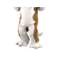 Saint Bernard Dog Mascot Costume