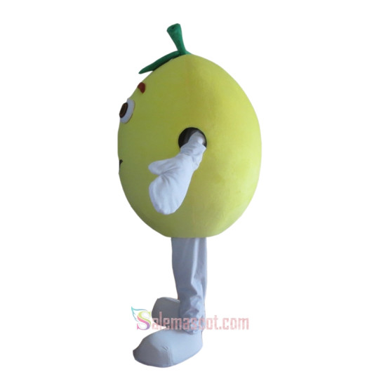 Fruit Grapefruit Mascot Costume