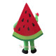 Fruit Watermelon Mascot Costume