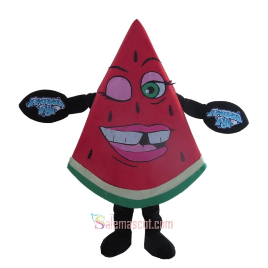 Fruit Watermelon Mascot Costume