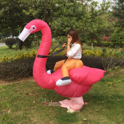 Adult Flamingo Inflatable Mascot Costume