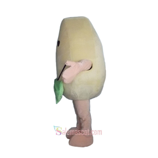 Fruit Mango Mascot Costume