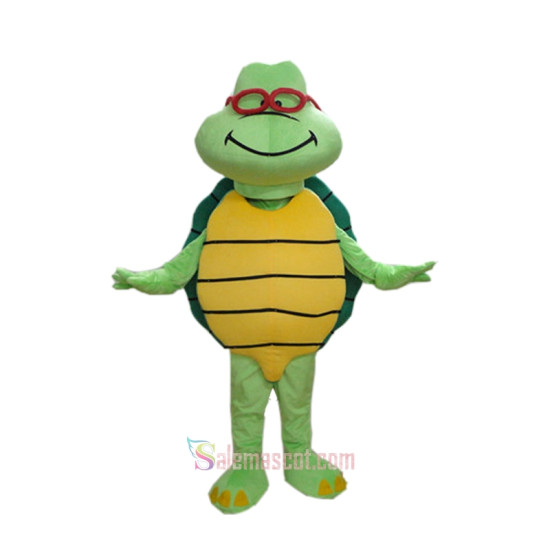 Green Turtle Custom Mascot Costume