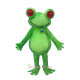 Green Frog Custom Mascot Costume