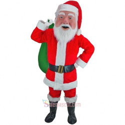 Santa Claus Mascot Costume