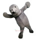 Sea Lions, Walrus Mascot Costume
