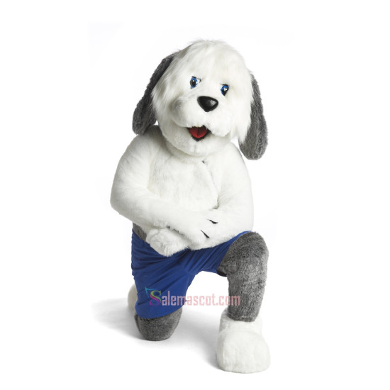 Sheepdog Mascot Costume