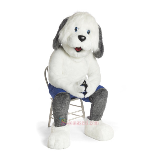 Sheepdog Mascot Costume