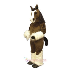 Shirley Shire Mascot Costume