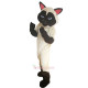 Siamese Cat Cartoon Mascot Costume