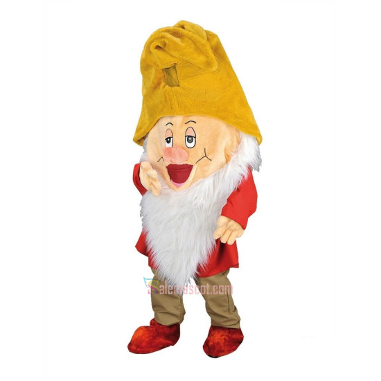 Sleeper 7 Dwarfs Mascot Costume