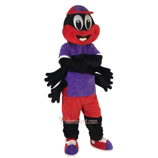 Spider Araneid Spinner Flycatcher Fly-flap Cartoon Mascot Costume