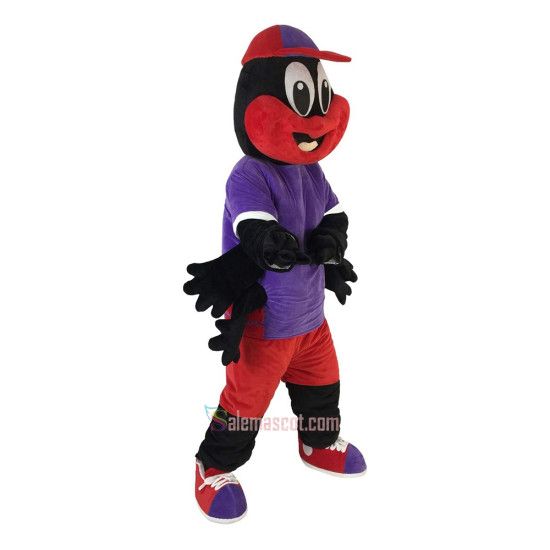 Spider Araneid Spinner Flycatcher Fly-flap Cartoon Mascot Costume