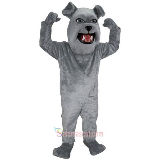 Spike Mascot Costume