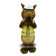 Squirrel Mascot Costume